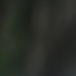 Meet your Posher, Maieve